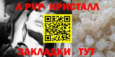 гидра Камышлов