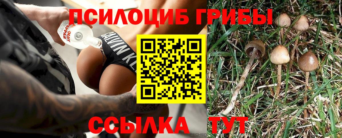 Псилоцибиновые грибы ЛСД  Псилоцибиновые грибы MAGIC MUSHROOMS  Вход с VPN  Михайловка 