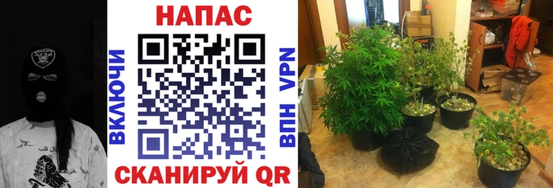 Бошки Шишки Ganja Михайловка